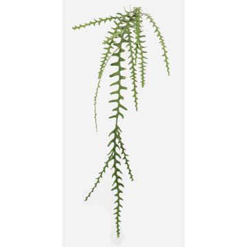 Kunstpflanze Blattkaktus BRAGIN, Steckstab, schwer brennbar, grün, 125cm