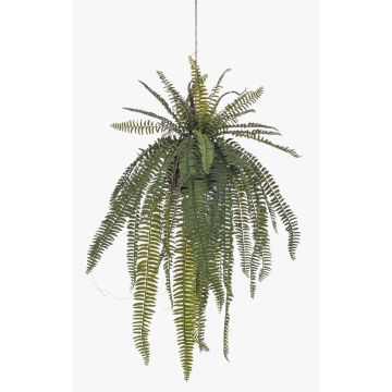 Deko Schwertfarn Blumenampel MAXROL, Erdballen, Wurzeln, hängend, grün, 85cm