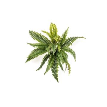 Künstliche Pflanze Schwertfarn ALSAWO auf Steckstab, grün, 45cm