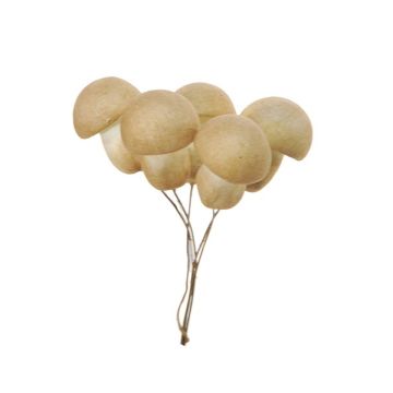 Deko Gemüse Pilz THAYET mit Draht, 6 Stück, beige, 4,5cm, Ø3,3cm