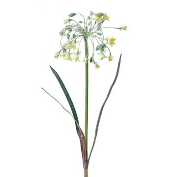 Kunstblume Milchstern SANDRILA, Steckstab, gelb, 70cm Kunstblume Milchstern SANDRILA, Steckstab, gelb, 70cm