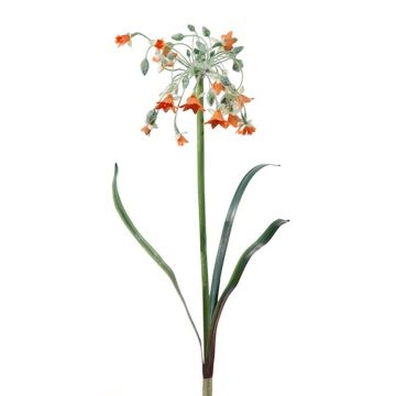 Kunstblume Milchstern SANDRILA, Steckstab, orange, 70cm Kunstblume Milchstern SANDRILA, Steckstab, orange, 70cm