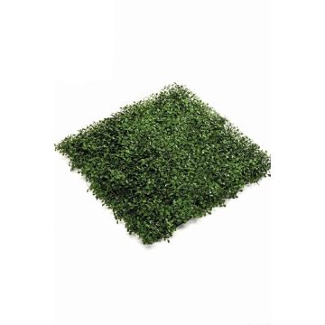 Künstliche Buchsmatte / Hecke HEINZ, crossdoor, 50x50cm Künstliche Buchsmatte / Hecke HEINZ, crossdoor, 50x50cm