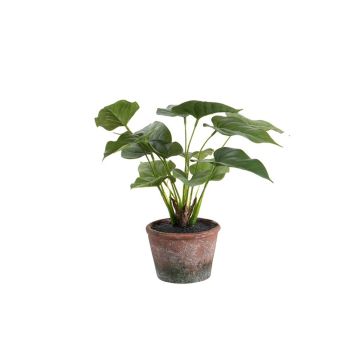 Kunstpflanze Flamingoblume VESSANA im Dekotopf, grün, 28cm