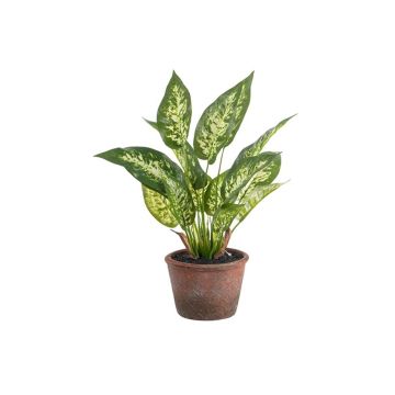 Fake Pflanze Dieffenbachia VARONICA im Dekotopf, grün, 28cm Fake Pflanze Dieffenbachia VARONICA im Dekotopf, grün, 28cm