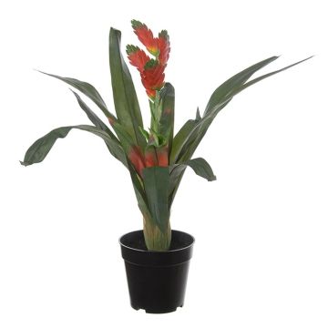 Künstliche Vriesea ARLENIA, rot, 60cm Künstliche Vriesea ARLENIA, rot, 60cm