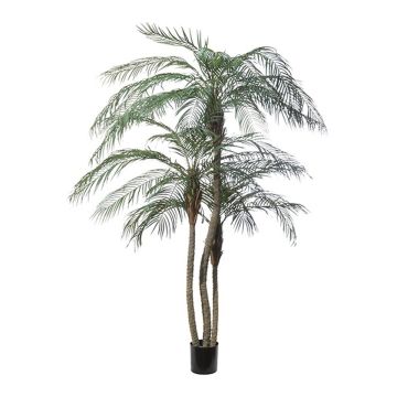 Künstliche Palme Phönix ELIES, 210cm