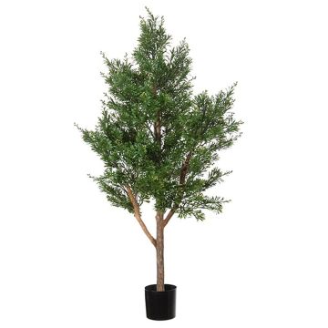 Deko Baum Crossostephium BELENA, Naturstamm, grün, 120cm