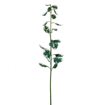 Kunstzweig Hartriegel BINDALIN, grün-weiß, 85cm