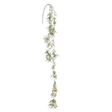 Kunstzweig Jasmin ZESPERA, hängend, grün-weiß, 170cm Kunstzweig Jasmin ZESPERA, hängend, grün-weiß, 170cm