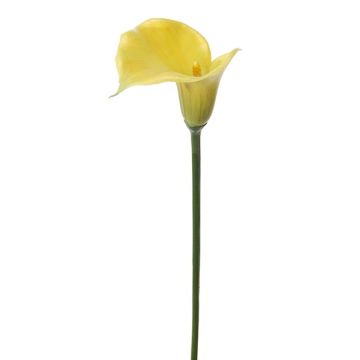 Kunstblume Calla CASWENA, gelb, 60cm