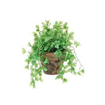 Kunstpflanze Spindelstrauch FEDRINA im Dekotopf, grün, 27cm Kunstpflanze Spindelstrauch FEDRINA im Dekotopf, grün, 27cm