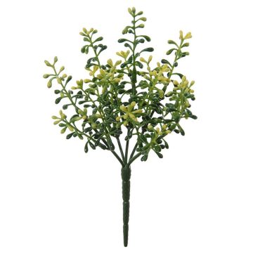 Kunstblume Skimmie HINADINA auf Steckstab, grün-gelb, 20cm