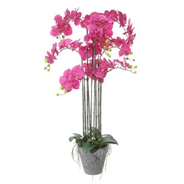 Kunstblume Phalaenopsis Orchidee DANTINA, Wurzeln, Dekotopf, cerise, 115cm Kunstblume Phalaenopsis Orchidee DANTINA, Wurzeln, Dekotopf, cerise, 115cm