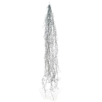 Deko Sukkulente Tillandsia Usneoides MIRIEL, grau, 130cm