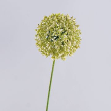 Künstlicher Allium HELLA, Glitzer, creme-grün, 75cm, Ø11cm Künstlicher Allium HELLA, Glitzer, creme-grün, 75cm, Ø11cm