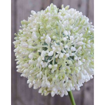 Künstlicher Allium HELLA, Glitzer, creme-grün, 75cm, Ø11cm