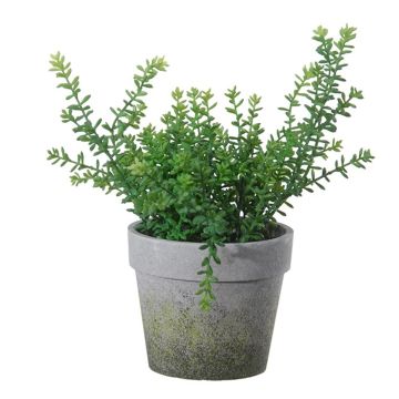 Künstliches Kraut Thymian TIMPA, Übertopf, grün, 28cm Künstliches Kraut Thymian TIMPA, Übertopf, grün, 28cm