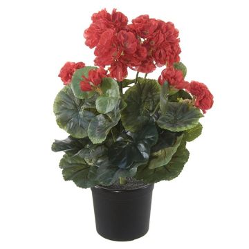 Textilblume Geranie DAELINA im Dekotopf, rot, 35cm