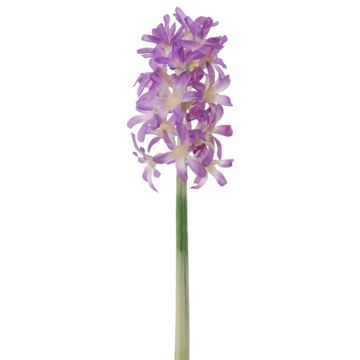 Textilblume Hyazinthe ASSELIA, violett, 27cm Textilblume Hyazinthe ASSELIA, violett, 27cm