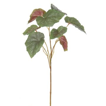 Kunstzweig Begonie NARIANNA, grün-creme, 70cm Kunstzweig Begonie NARIANNA, grün-creme, 70cm