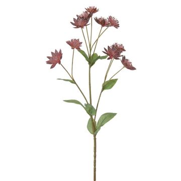 Kunstzweig Sterndolde RIVELIA, rosa, 60cm Kunstzweig Sterndolde RIVELIA, rosa, 60cm