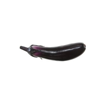 Kunst Aubergine MANOLJA, dunkelviolett, 18cm