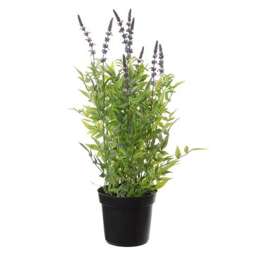 Kunstblume Ehrenpreis JEINA im Dekotopf, violett, 80cm Kunstblume Ehrenpreis JEINA im Dekotopf, violett, 80cm