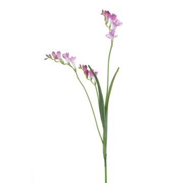 Kunstzweig Freesie VILLIER, rosa-weiß, 80cm Kunstzweig Freesie VILLIER, rosa-weiß, 80cm