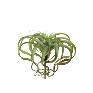 Kunst Tillandsia Xerographica AZARD, Steckstab, grün-rot, 30cm, Ø35cm