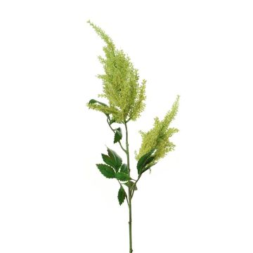 Kunstzweig Prachtspiere ZARIANA, grün, 80cm Kunstzweig Prachtspiere ZARIANA, grün, 80cm