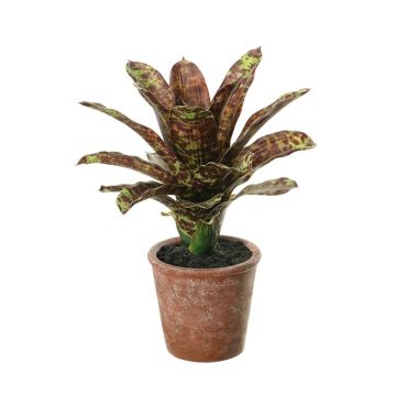 Kunstblume Guzmania TAVERIA im Dekotopf, braun-grün, 40cm Kunstblume Guzmania TAVERIA im Dekotopf, braun-grün, 40cm