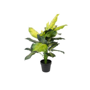 Fake Pflanze Dieffenbachia SIOLINA im Dekotopf, grün, 80cm Fake Pflanze Dieffenbachia SIOLINA im Dekotopf, grün, 80cm