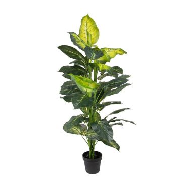 Fake Pflanze Dieffenbachia MATALIA im Dekotopf, grün, 130cm Fake Pflanze Dieffenbachia MATALIA im Dekotopf, grün, 130cm