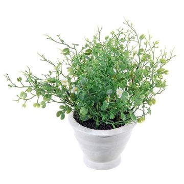 Kunstblume Bauhinia INAVIA im Dekotopf, weiß, 17cm Kunstblume Bauhinia INAVIA im Dekotopf, weiß, 17cm