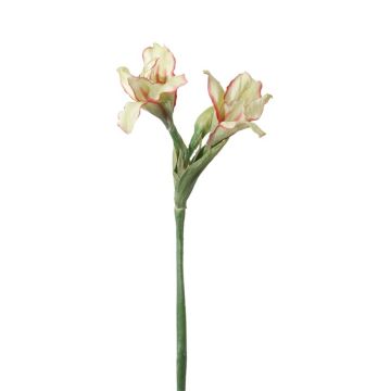 Künstliche Blume Amaryllis LAINELA, creme-rosa, 70cm