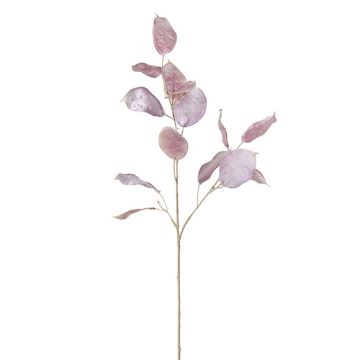 Kunstzweig Silberblatt DAINDIN, lila, 60cm Kunstzweig Silberblatt DAINDIN, lila, 60cm