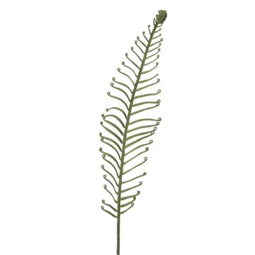 Kunst Blatt Königsfarn DRAGU, grün, 95cm Kunst Blatt Königsfarn DRAGU, grün, 95cm