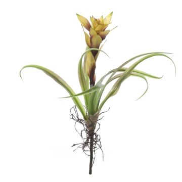 Kunstblume Guzmania TORVINA mit Wurzeln, Steckstab, gelb, 40cm Kunstblume Guzmania TORVINA mit Wurzeln, Steckstab, gelb, 40cm