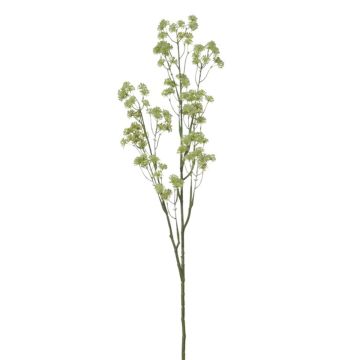 Deko Zweig Bärenklau SANKINA, grün, 125cm Deko Zweig Bärenklau SANKINA, grün, 125cm
