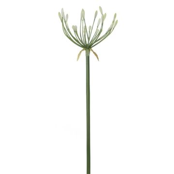 Kunstblume Agapanthus SEIVANA, weiß, 80cm Kunstblume Agapanthus SEIVANA, weiß, 80cm