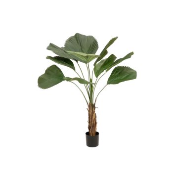 Kunstpalme Strahlenpalme LIAMARA, schwer brennbar, 140cm