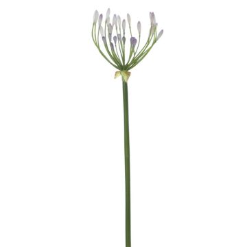 Kunstblume Agapanthus SEIVANA, lila, 80cm Kunstblume Agapanthus SEIVANA, lila, 80cm