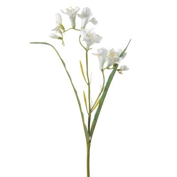 Kunstzweig Freesie ROUVELA, weiß, 55cm Kunstzweig Freesie ROUVELA, weiß, 55cm