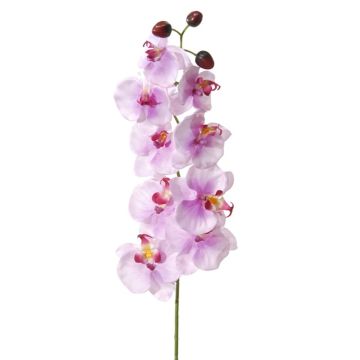 Kunstblume Phalaenopsis Orchidee METTINA, lila, 100cm