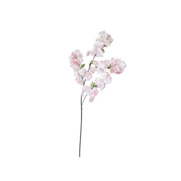 Kirschblütenzweig künstlich KERATIA mit Blüten, schwer brennbar, rosa-creme-weiß, 100cm Kirschblütenzweig künstlich KERATIA mit Blüten, schwer brennbar, rosa-creme-weiß, 100cm