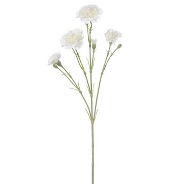 Dekozweig Nelke ETIMIANA, creme, 60cm Dekozweig Nelke ETIMIANA, creme, 60cm