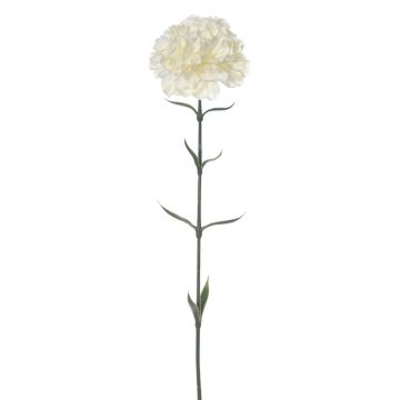 Kunstblume Nelke ENILIANA, creme, 65cm Kunstblume Nelke ENILIANA, creme, 65cm
