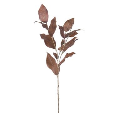 Kunstzweig Scheinbeere DEINALA, dunkelbraun, 60cm