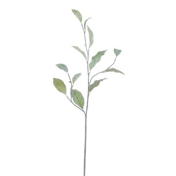 Kunstzweig Ehrenpreis JINAY, grün, 75cm Kunstzweig Ehrenpreis JINAY, grün, 75cm